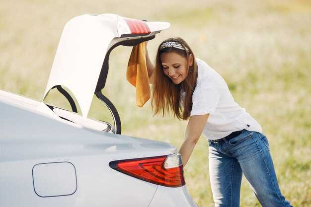 Как выбрать подходящую замену для стойки?