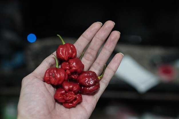 Расход топлива: какие показатели у Хавал и Чери