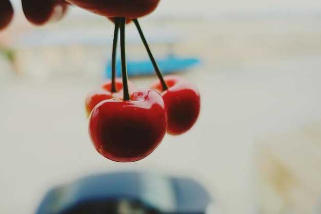 Обзор технических характеристик Хавал и Чери