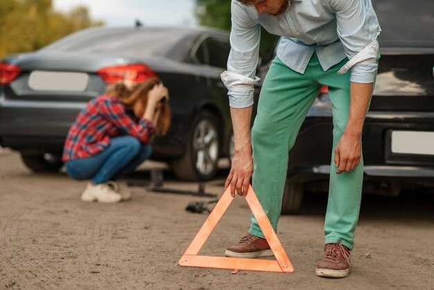 Экономические последствия для общества и страховщиков