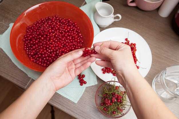 Настройка подвески для улучшения управляемости