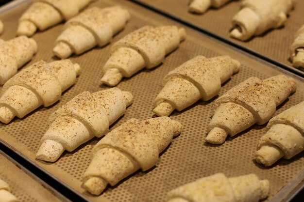 Обслуживание и уход за пекарем дмрв 20.3855000