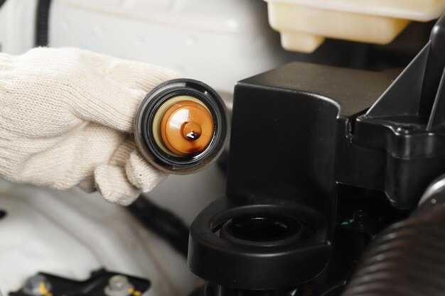 Советы по профилактике накопления пыли и грязи