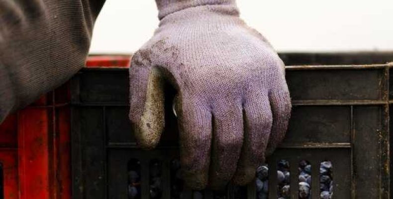 Что делать, если регулярно перегорает предохранитель генератора — Причины и решения