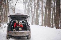 Форд фиеста горит снежинка на панели