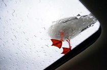 Как защитить свой автомобиль от дождя — советы и рекомендации