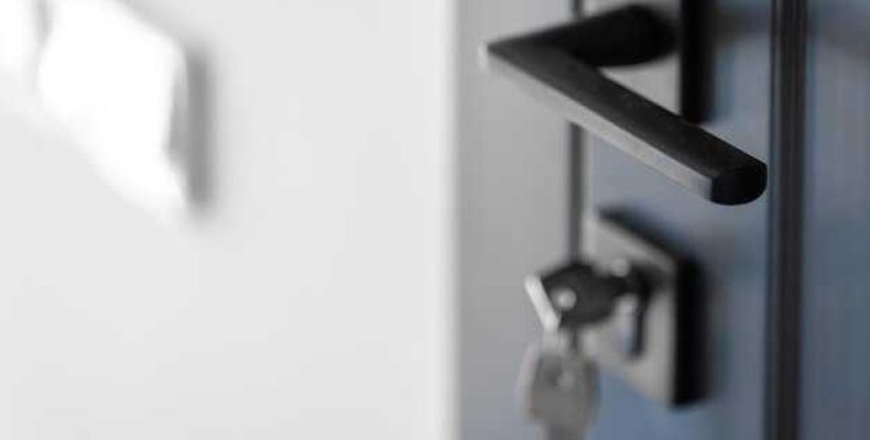 Личинка замка двери рено премиум