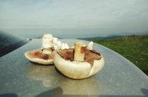 Подушки кузова уаз патриот пикап